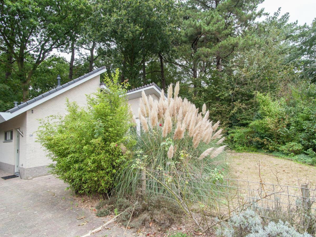 Elite Holiday Home In North Holland Near Forest Schoorl Eksteriør billede