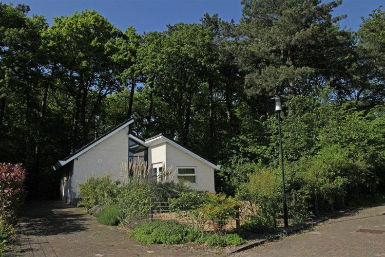 Elite Holiday Home In North Holland Near Forest Schoorl Eksteriør billede